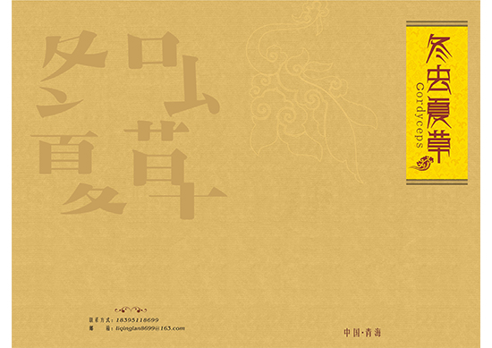 &#24320;&#20113;&#30331;&#38470;&#20837;&#21475;&#45;&#24320;&#20113;&#111;&#110;&#108;&#105;&#110;&#101;&#40;&#20013;&#22269;&#41;