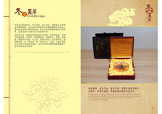&#24320;&#20113;&#30331;&#38470;&#20837;&#21475;&#45;&#24320;&#20113;&#111;&#110;&#108;&#105;&#110;&#101;&#40;&#20013;&#22269;&#41;
