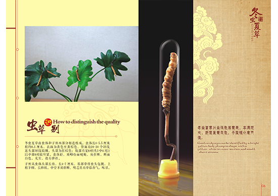 &#24320;&#20113;&#30331;&#38470;&#20837;&#21475;&#45;&#24320;&#20113;&#111;&#110;&#108;&#105;&#110;&#101;&#40;&#20013;&#22269;&#41;