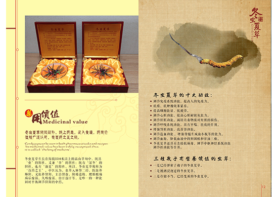 &#24320;&#20113;&#30331;&#38470;&#20837;&#21475;&#45;&#24320;&#20113;&#111;&#110;&#108;&#105;&#110;&#101;&#40;&#20013;&#22269;&#41;