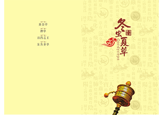 &#24320;&#20113;&#30331;&#38470;&#20837;&#21475;&#45;&#24320;&#20113;&#111;&#110;&#108;&#105;&#110;&#101;&#40;&#20013;&#22269;&#41;