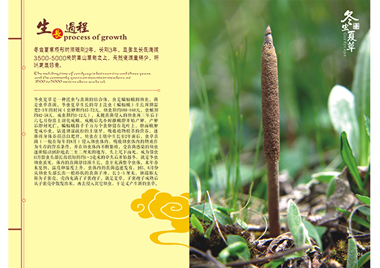 &#24320;&#20113;&#30331;&#38470;&#20837;&#21475;&#45;&#24320;&#20113;&#111;&#110;&#108;&#105;&#110;&#101;&#40;&#20013;&#22269;&#41;